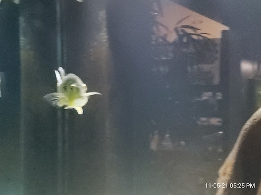 Aquarium «Aquatica», reviews and photos, 800 Clanton Rd H, Charlotte, NC 28117, USA