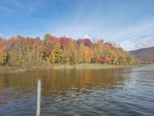 National Forest «Green Mountain and Finger Lakes National Forests», reviews and photos, 231 N Main St, Rutland, VT 05701, USA