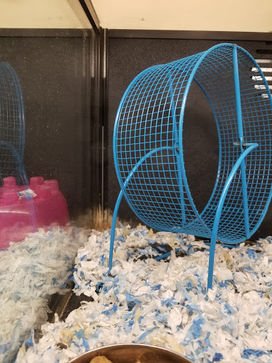 Pet Supply Store «PetSmart», reviews and photos, 2901 Texas Sage Trail, Fort Worth, TX 76177, USA