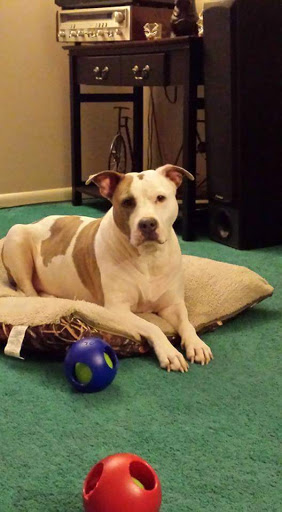 65 N Main St, Allentown, NJ 08501, USA