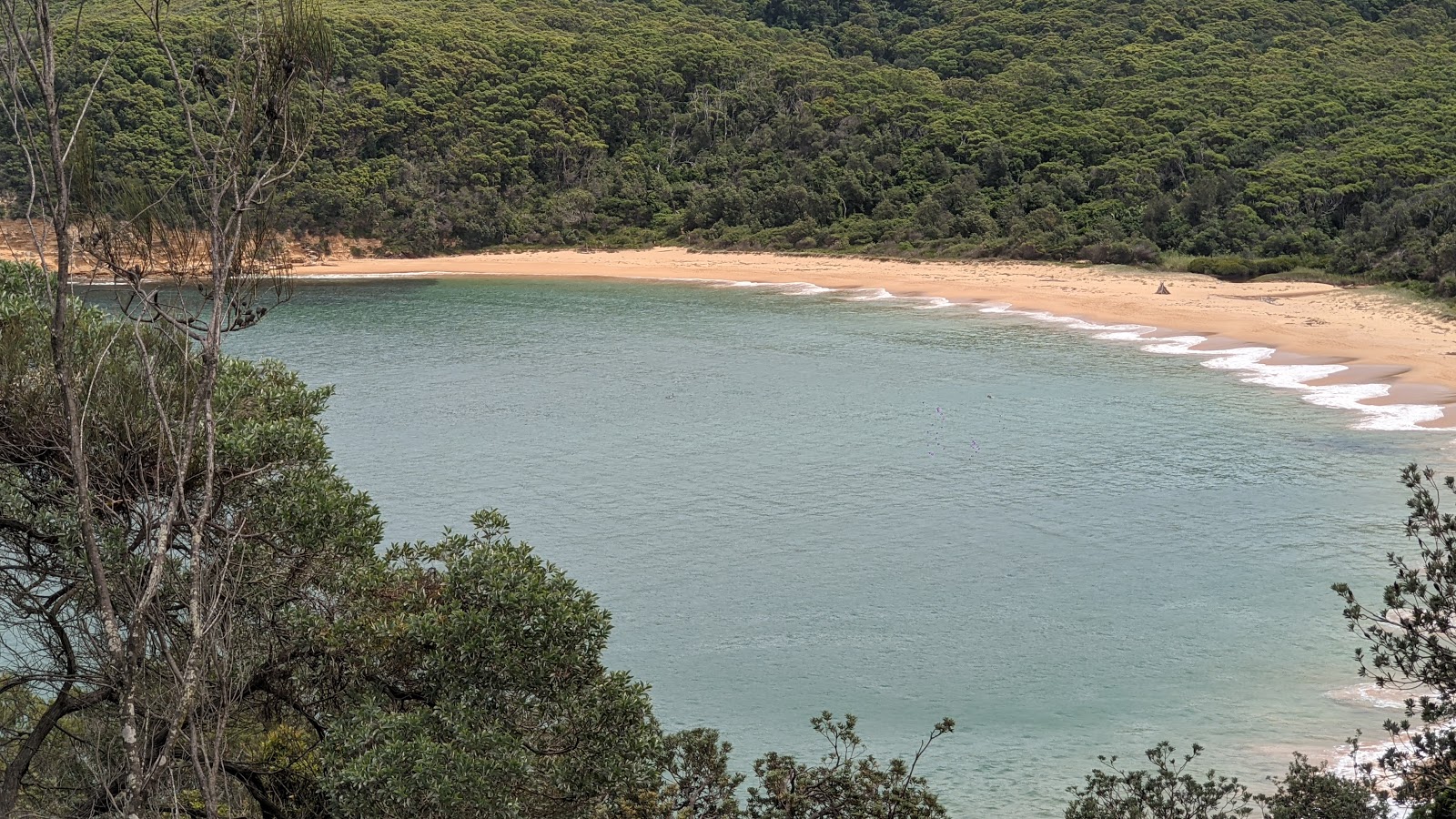 Maitland Bay Beach photo #9
