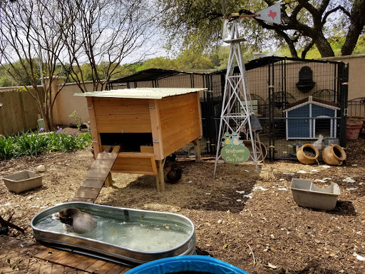 Home Improvement Store «Tractor Supply Co.», reviews and photos, 33701 US-281, Bulverde, TX 78163, USA