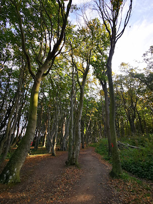 Photo Ferienwohnung Haus Sanddorn - Petra M. Bürger 18209 Wittenbeck