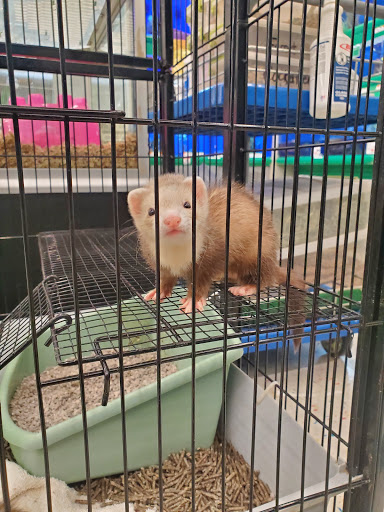 Pet Supply Store «Pet Supplies Plus», reviews and photos, 605 Grand Central Ave, Vienna, WV 26105, USA
