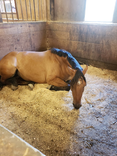 Liberty Equestrian Center