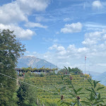 Photo n°8 de l'avis de Anna.� fait le 10/10/2023 à 16:07 sur le  Buschenschank Weingut Haidenhof à Tscherms