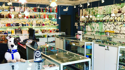 Tobacco Shop «Funky Bean Smoke Shop», reviews and photos, 1163 N Farnsworth Ave, Aurora, IL 60505, USA