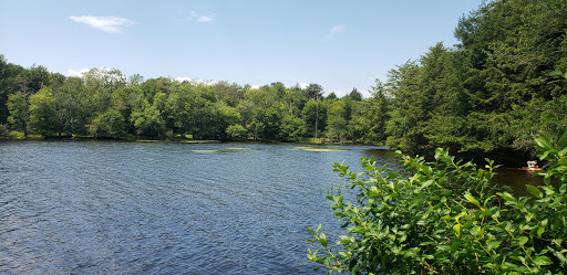 Hotel «The Arnold House», reviews and photos, 839 Shandelee Rd, Livingston Manor, NY 12758, USA