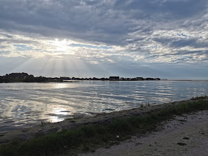 Photo n°3 de Port de Gujan à Gujan-Mestras ()