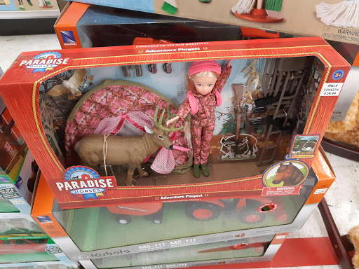 Home Improvement Store «Tractor Supply Co.», reviews and photos, 154 Vestal Pkwy W, Vestal, NY 13850, USA