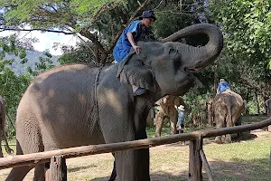 Thai Elephant Home image