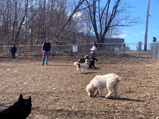 Dog Park «Waterman St. Dog Park», reviews and photos, 320 Waterman St, Providence, RI 02906, USA