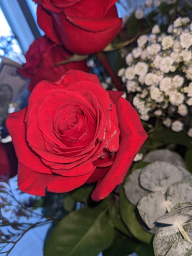 Florist «Viviano Flower Shop», reviews and photos, 49970 Gratiot Ave, New Baltimore, MI 48051, USA