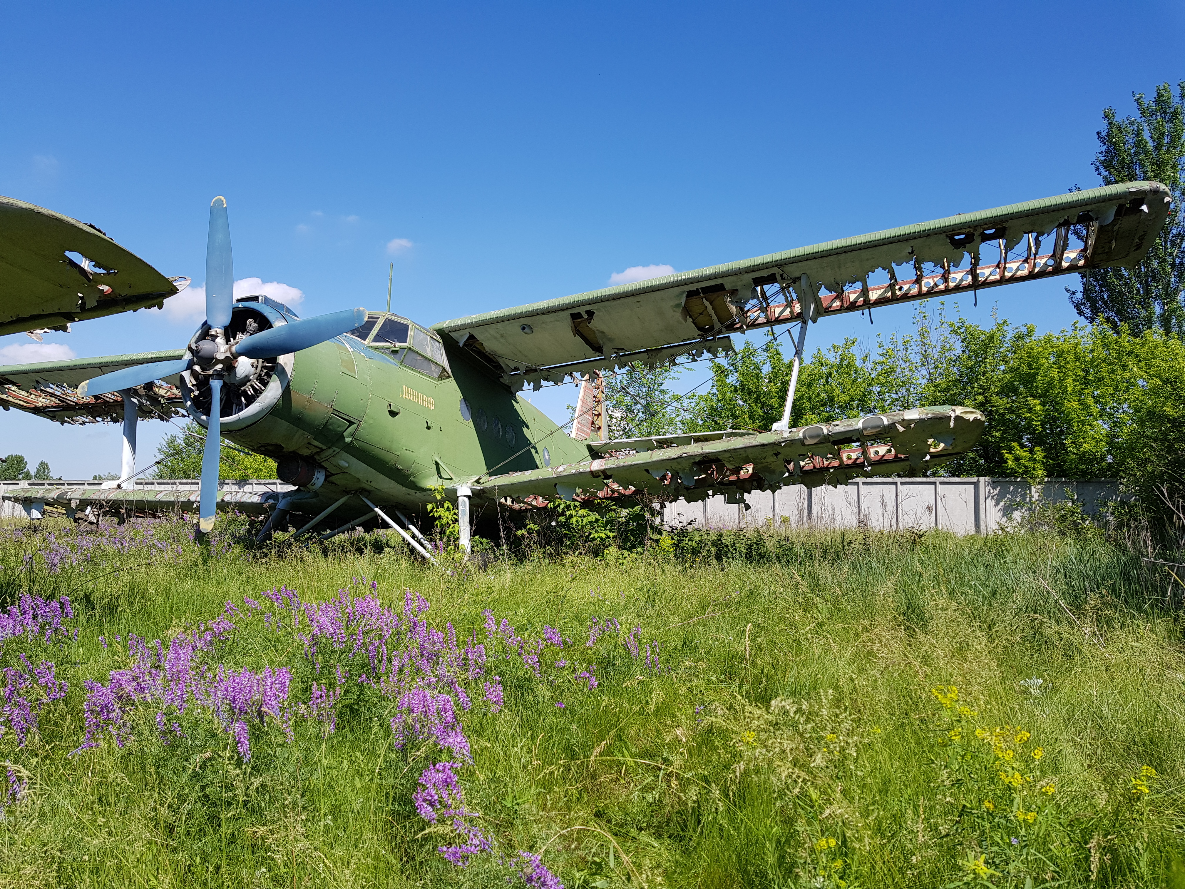 Photo n° 1 de l'avis de F..e fait le 08/06/2018 à 10:57