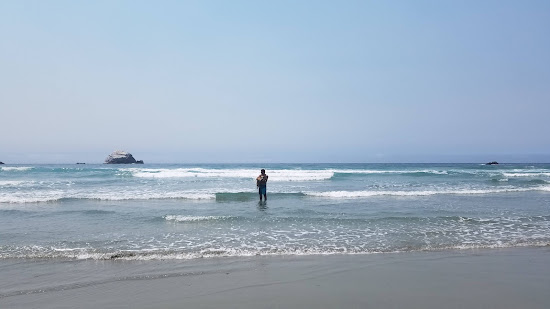 Sand Dollar Beach