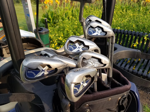 Public Golf Course «Minor Park Golf Course», reviews and photos, 11215 Holmes Rd, Kansas City, MO 64131, USA