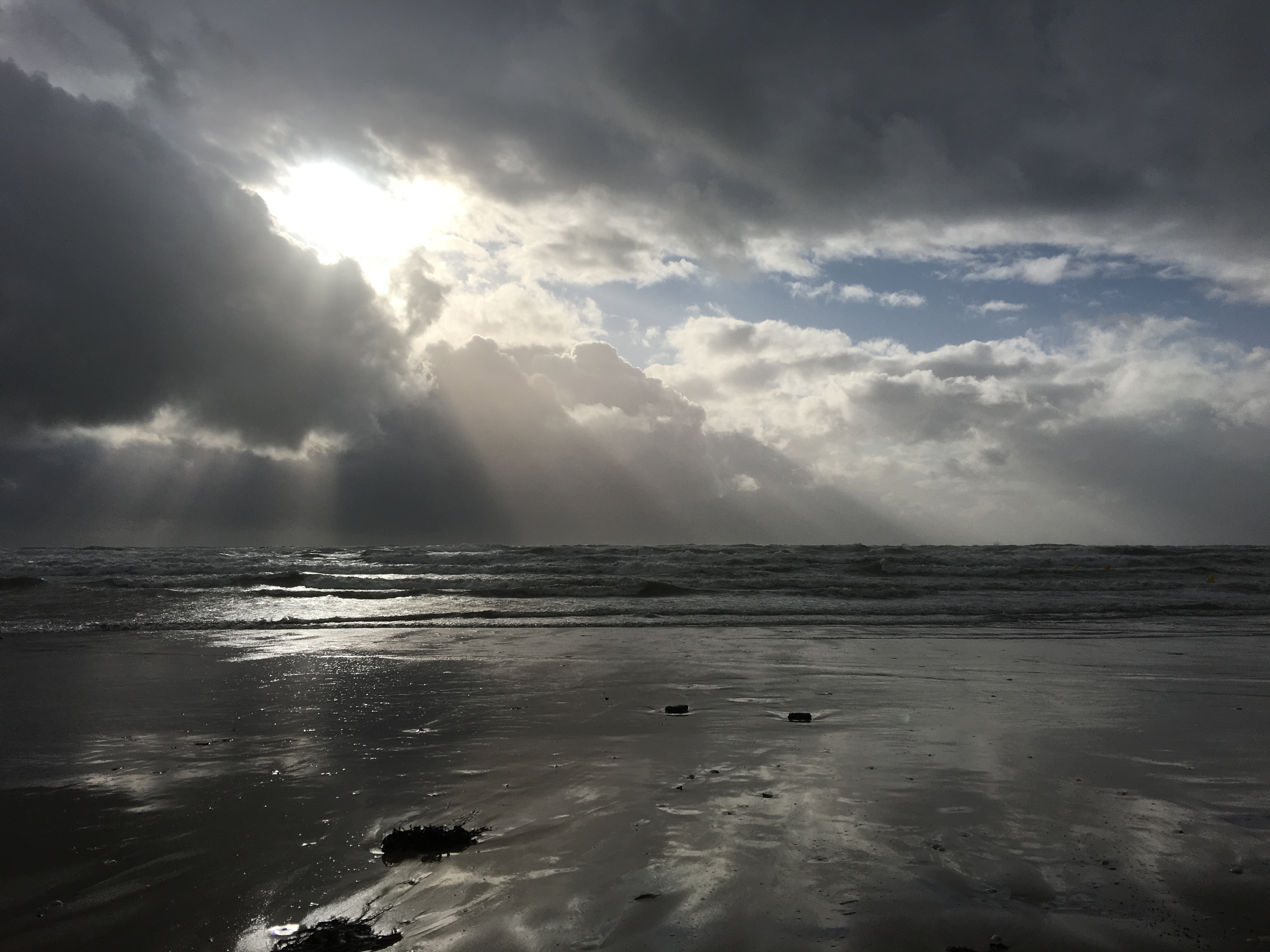 Photo n° 11 de l'avis de Alain.e fait le 17/02/2019 à 16:03