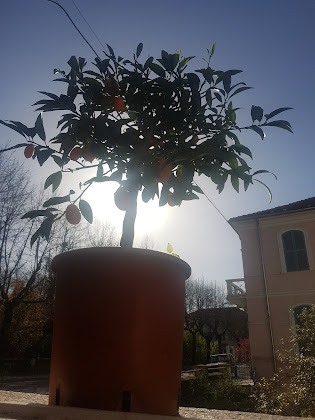 Extérieur Maison d'hôtes Pensione Villa Glicinia Di Amoretti A. E C. Snc 15011 Acqui Terme