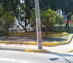 Alameda de Tacubaya photo