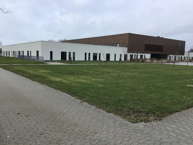 Anmeldelser af Fonden Nymindegabmalerne - Blaabjerg Museum i Esbjerg - Museum