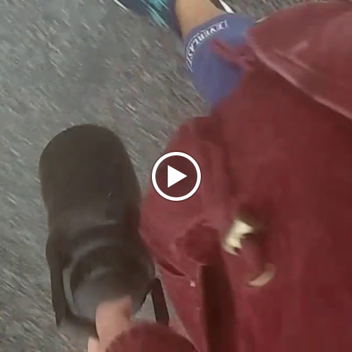 Gym «Planet Fitness», reviews and photos, 3025 Hempstead Turnpike, Levittown, NY 11756, USA