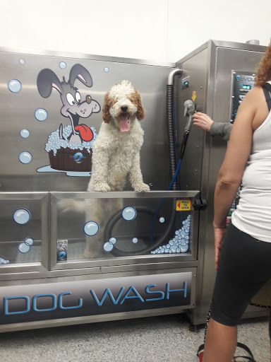 Pet Groomer «Brookline Grooming & Pet Supplies», reviews and photos, 146 Harvard St, Brookline, MA 02446, USA