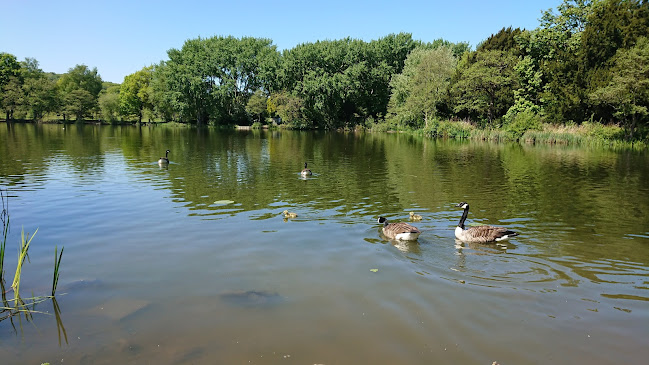 Comments and reviews of Allestree Park Lake