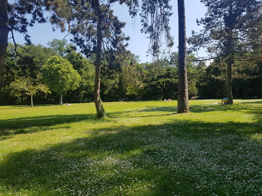 Carl-von-Weinberg-Park