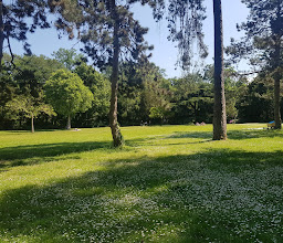 Carl-von-Weinberg Park photo