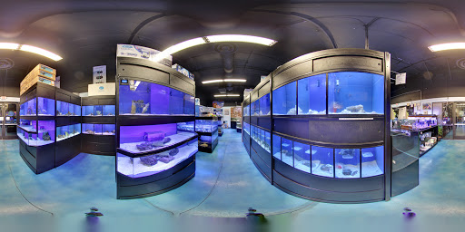 Tropical Fish Store «Pisces Reef Fish Emporium, LLC», reviews and photos, 9326 W Sahara Ave, Las Vegas, NV 89117, USA