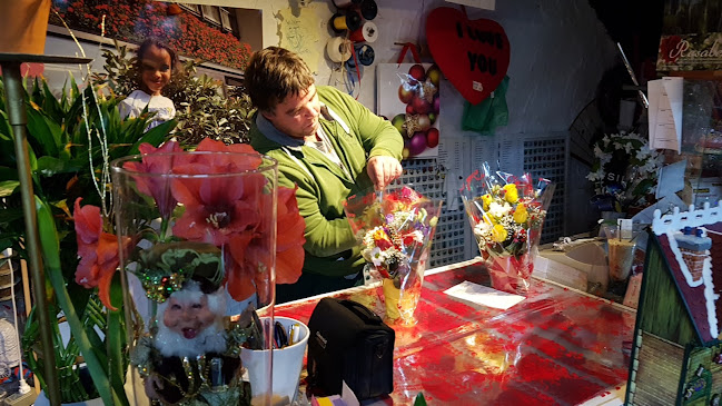 Rezensionen über René Gaberell in Lugano - Blumengeschäft
