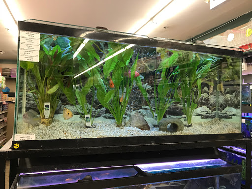 Pet Store «Petland Discounts - Kissena Blvd», reviews and photos, 71-8 Kissena Blvd, Flushing, NY 11367, USA