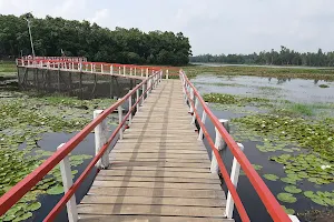 Nawabgonj National Park image