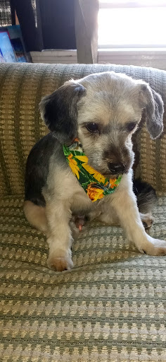 Pet Store «7 Seas Pet Care Center», reviews and photos, 13311 S Brandon Ave, Chicago, IL 60633, USA