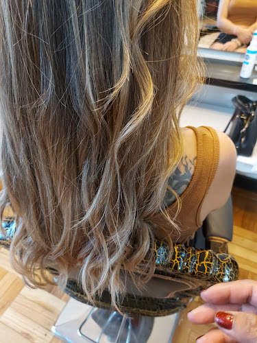 http://www.peluqueriaorganicaocs.cl/