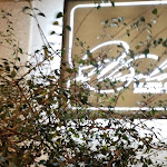 Photo n°2 de l'avis de Gino.i fait le 27/01/2024 à 20:51 sur le  Il Vicolo à Terlizzi