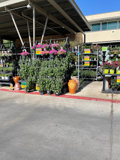 Grocery Store «H-E-B Grocery», reviews and photos, 170 E Whitestone Blvd, Cedar Park, TX 78613, USA