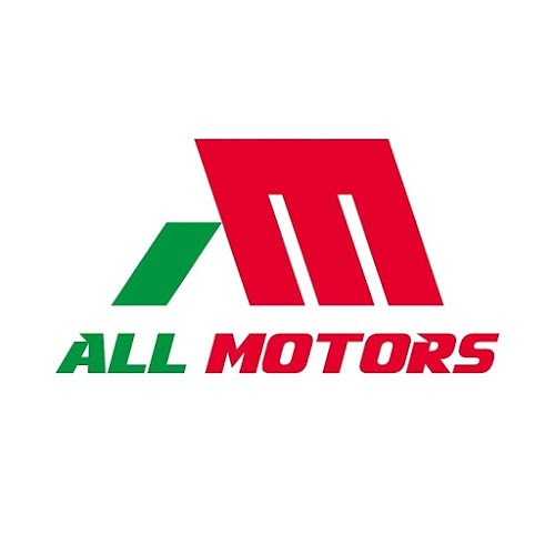 Opiniones de All Motors Chile en Copiapó - Tienda de motocicletas