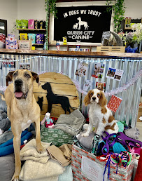 Queen City Canine - Photo 8 - Car repair in Buffalo, NY, Buffalo