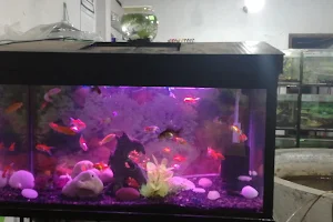 Thanu Aquarium image