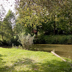 Photo n° 24 de l'avis de Edith.o fait le 20/09/2020 à 15:57 pour LE JARDIN DES PÊCHEURS à Hon-Hergies