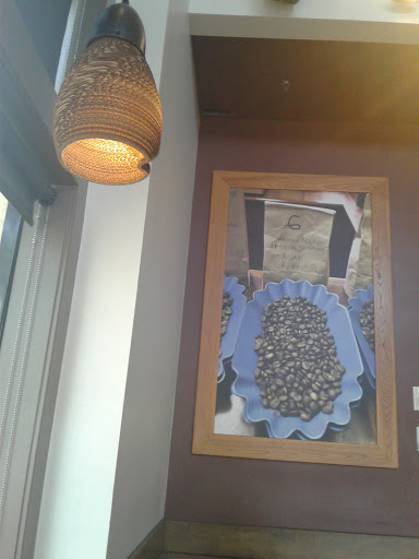 Starbucks image