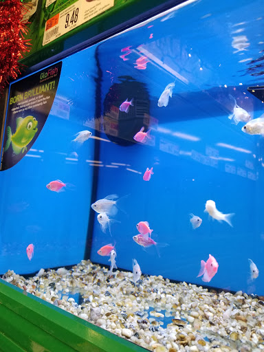 Pet Supply Store «Pet Supplies Plus», reviews and photos, 2201 US-281, Marble Falls, TX 78654, USA