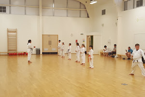 Plymouth Karate Academy