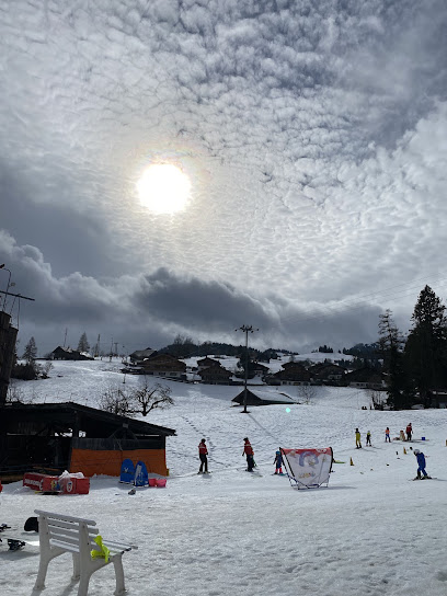 Skischule und Snowboardschule Zweisimmen