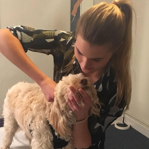 Dr Louise Edwards Animal Chiropractic - Oxford