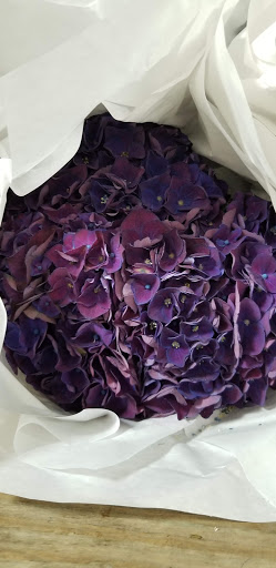 Florist «Sieck-Wright Floral Products», reviews and photos, 231 Monmouth St, Hightstown, NJ 08520, USA