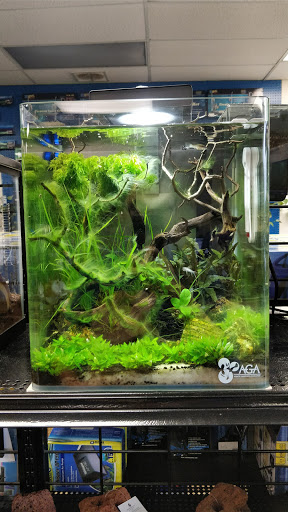 Tropical Fish Store «Aquatic Dog», reviews and photos, 7429 E Iliff Ave, Denver, CO 80231, USA