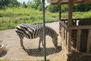 Brantford Twin Valley Zoo image