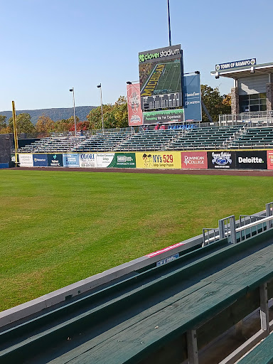 Stadium «Palisades Credit Union Park», reviews and photos